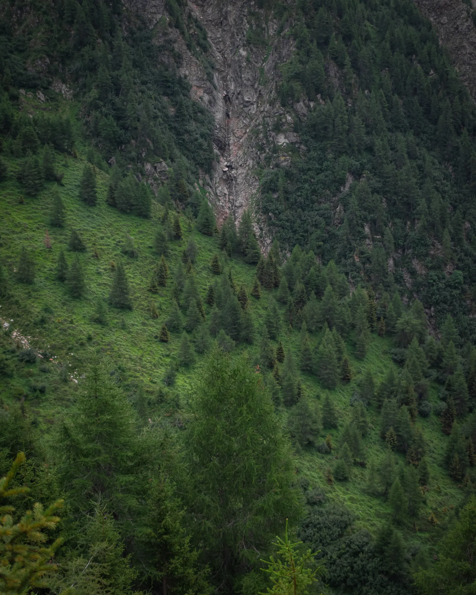 Photo of Dom Bastone 9.