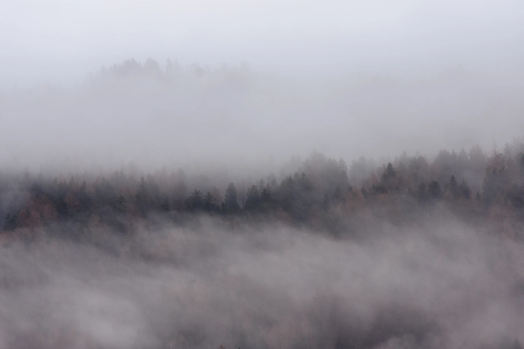 Photo of Fog.